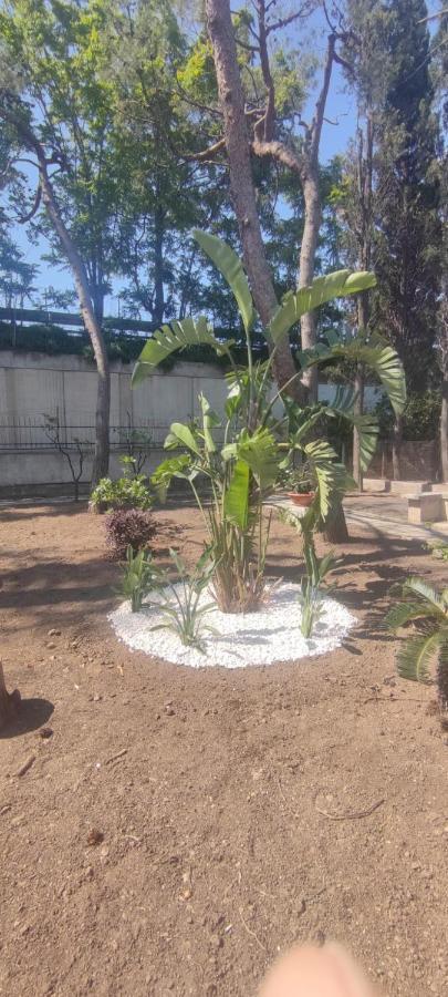 Villa Rospi Bari Luaran gambar